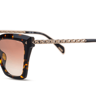 画像をギャラリービューアに読み込む, SPLN62 520779_05