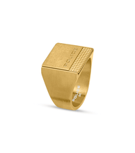 Load image into Gallery viewer, PEAGF0041006_02
