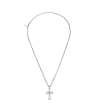 Load image into Gallery viewer, PEAGN0011001_01
