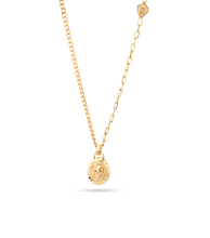 Load image into Gallery viewer, PEAGN2212111_01
