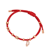 画像をギャラリービューアに読み込む, PEJLB0003608_01
