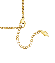 画像をギャラリービューアに読み込む, PEJLN0000204_03
