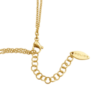 Charger l'image dans la galerie, PEJLN0000806_03
