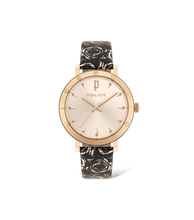 画像をギャラリービューアに読み込む, PL16033MSRB32_01
