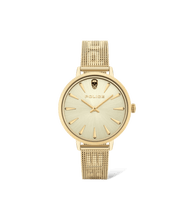 画像をギャラリービューアに読み込む, PL16035MSG22MM_01
